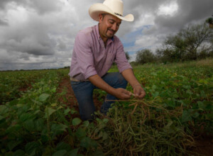 Nueva Gobernanza